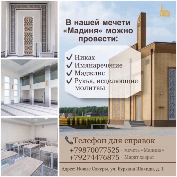 Сбор - изображение №10